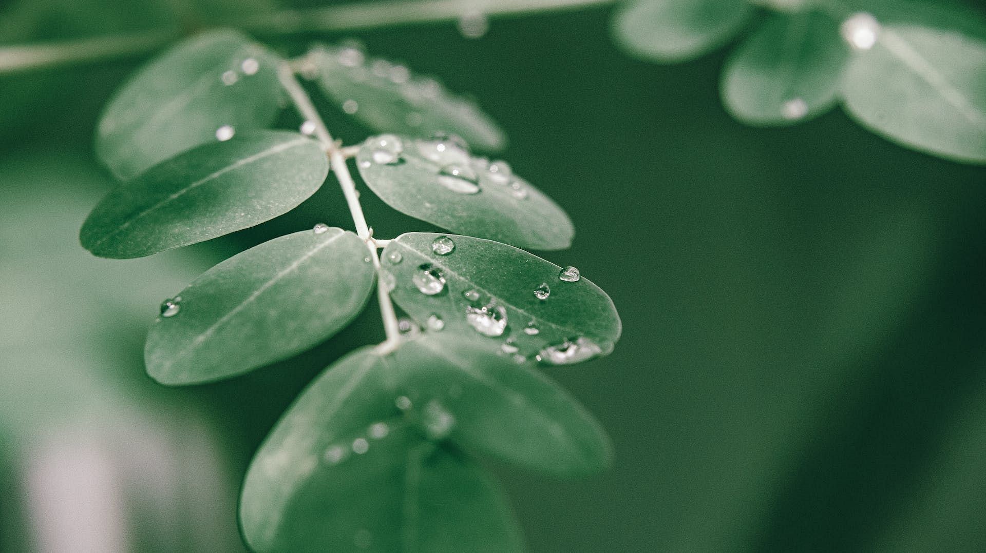 (Image via Pexels/Nothing Ahead)